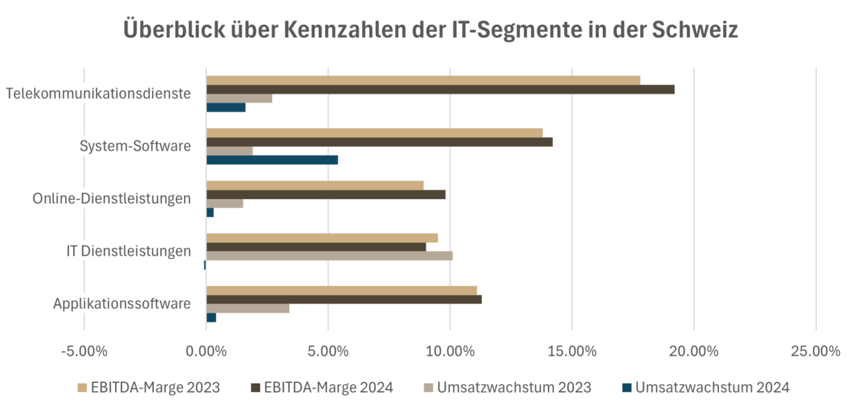 Kennzahlenvergleich IT-Segmente Schweiz 2023–2024